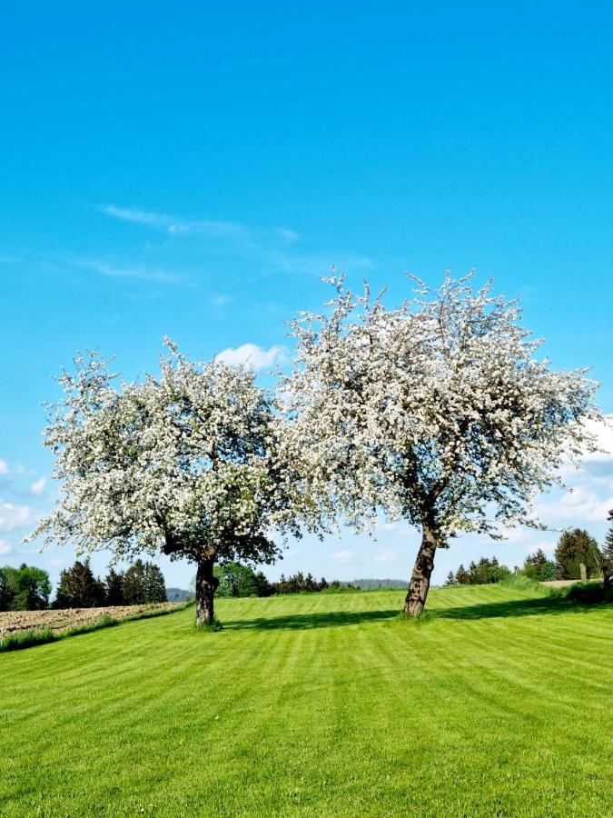 Ferienhaus Ritzmais Bischofsmais Exteriör bild