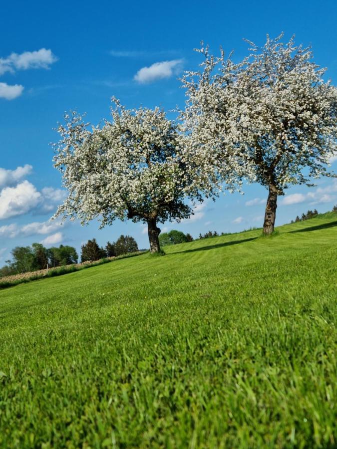Ferienhaus Ritzmais Bischofsmais Exteriör bild