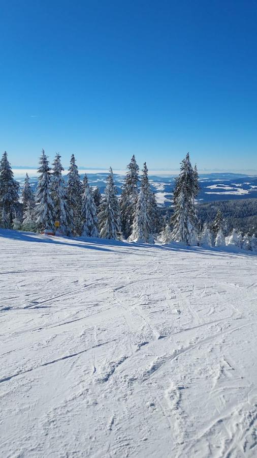 Ferienhaus Ritzmais Bischofsmais Exteriör bild